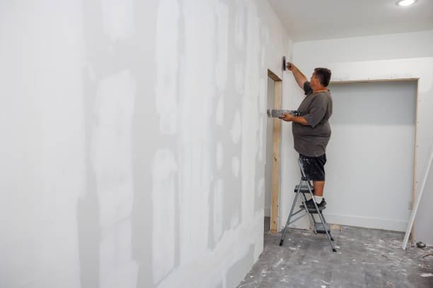 Best Industrial Mold Remediation  in Dunellen, NJ